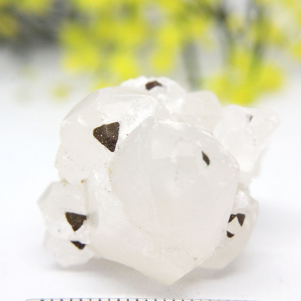 Thumbnail: Calcite Crystal with Trigonal Pyrite growths