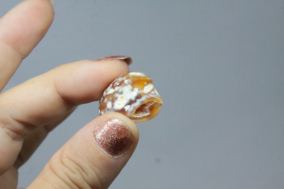 Thumbnail: Chunks of Carnelian - From Cooroy QLD