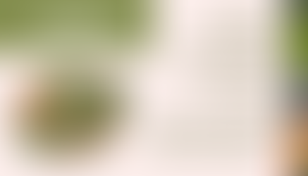 Unakite - Ca2(Al,Fe)3Si3O12(OH)