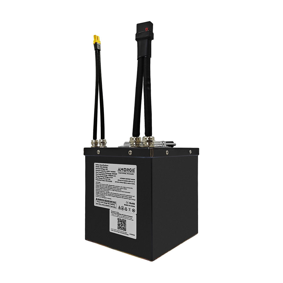 AMORGE 16S5P 60V 20AH 150A Lithium Battery Pack with Metal Box for Electric Bike