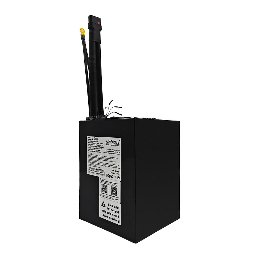 AMORGE 13S9P 48V 36AH 270A Lithium Battery Pack with ANT Bluetooth BMS for Electric Bike