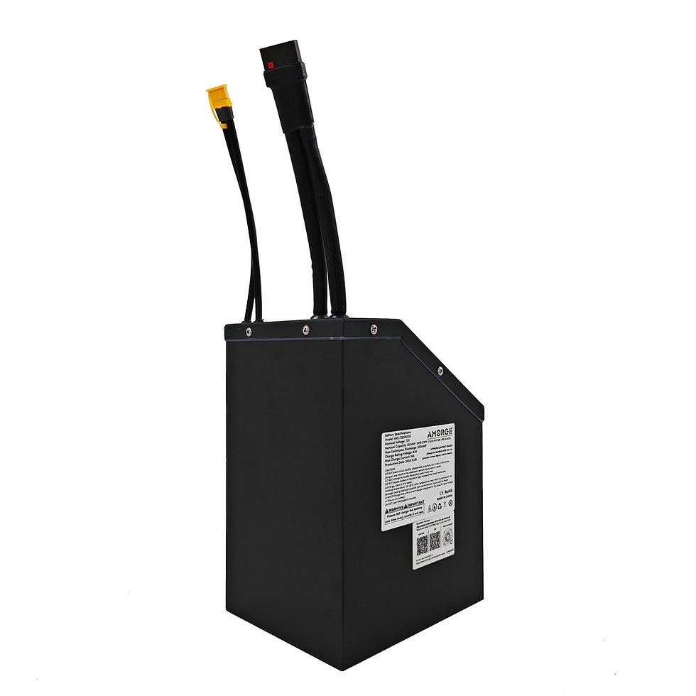 AAページ AMORGE 20S8P 72V 32AH 200A Battery for MX500 MX650 SX500 with