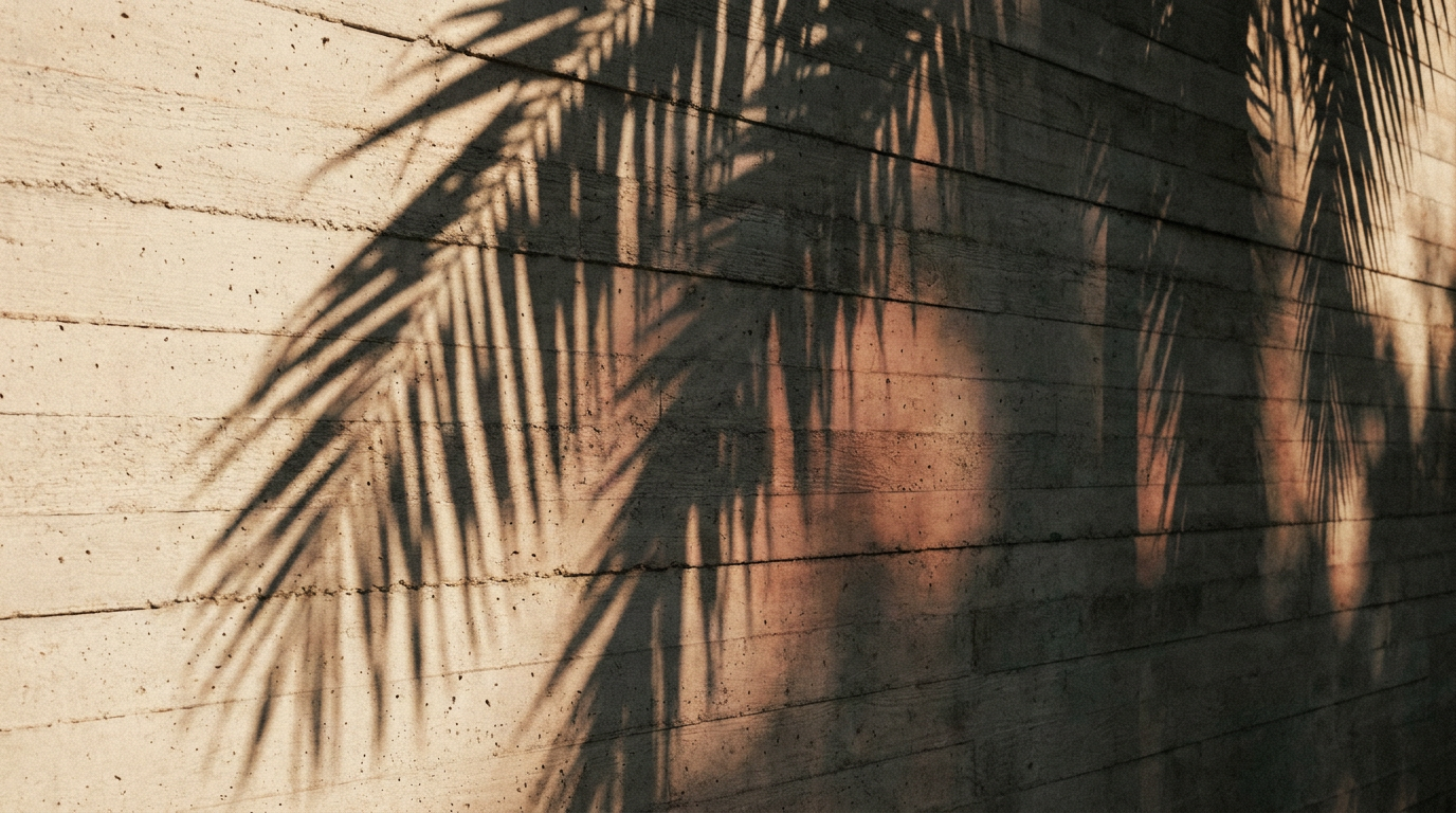 Board-formed concrete wall with raking palm-frond shadows in late-afternoon light.
