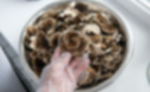 AdobeStock_478215407.jpeg