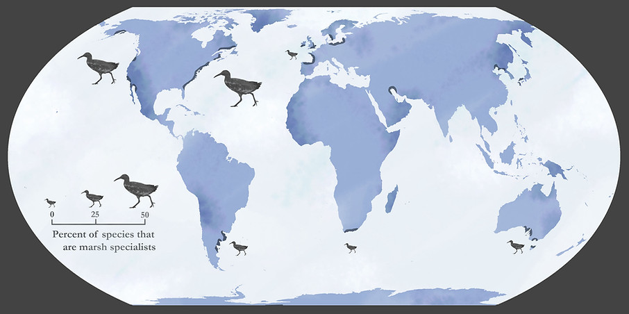 specialization map.jpg