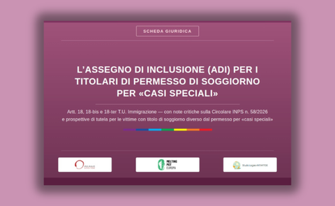 Analisi normativa e critica sull’accesso all’Assegno di Inclusione per titolari di permesso per casi speciali.