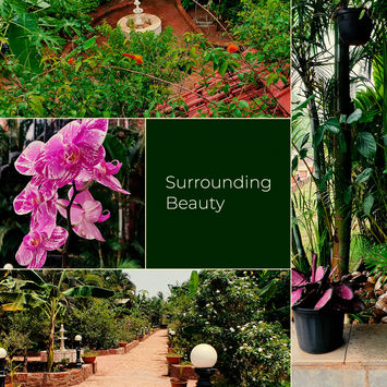 surrounding beauty.jpg