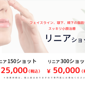 スクリーンショット 2022-06-29 17.40.19.png