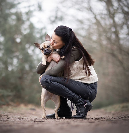 Gezonde franse bulldog fokker