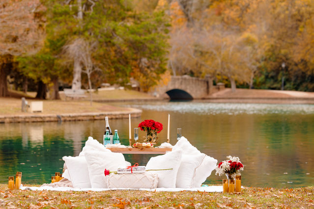 luxury proposal picnic at Freedom Park in Charlotte, NC