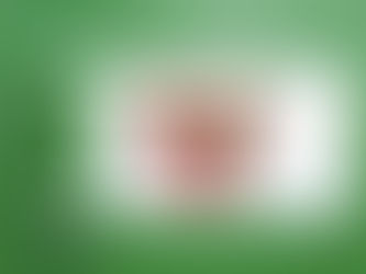 Thrifty Success: Cost-Effective Strategies for Architectural Firms in 2024