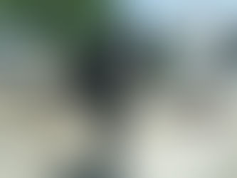 Carnage à Tabarre : Plus de cinq victimes, dont des enfants, dans une attaque perpétrée par la coalition VIV ANSANM