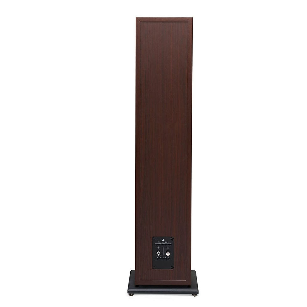 Miniatura: Triangle Borea BR07 - Parlantes Columnas