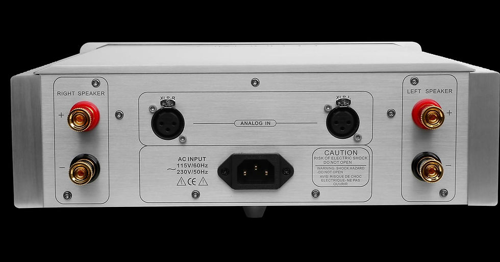 Miniatura: Denafrips Hyperion 12TH - Amplificador de potencia