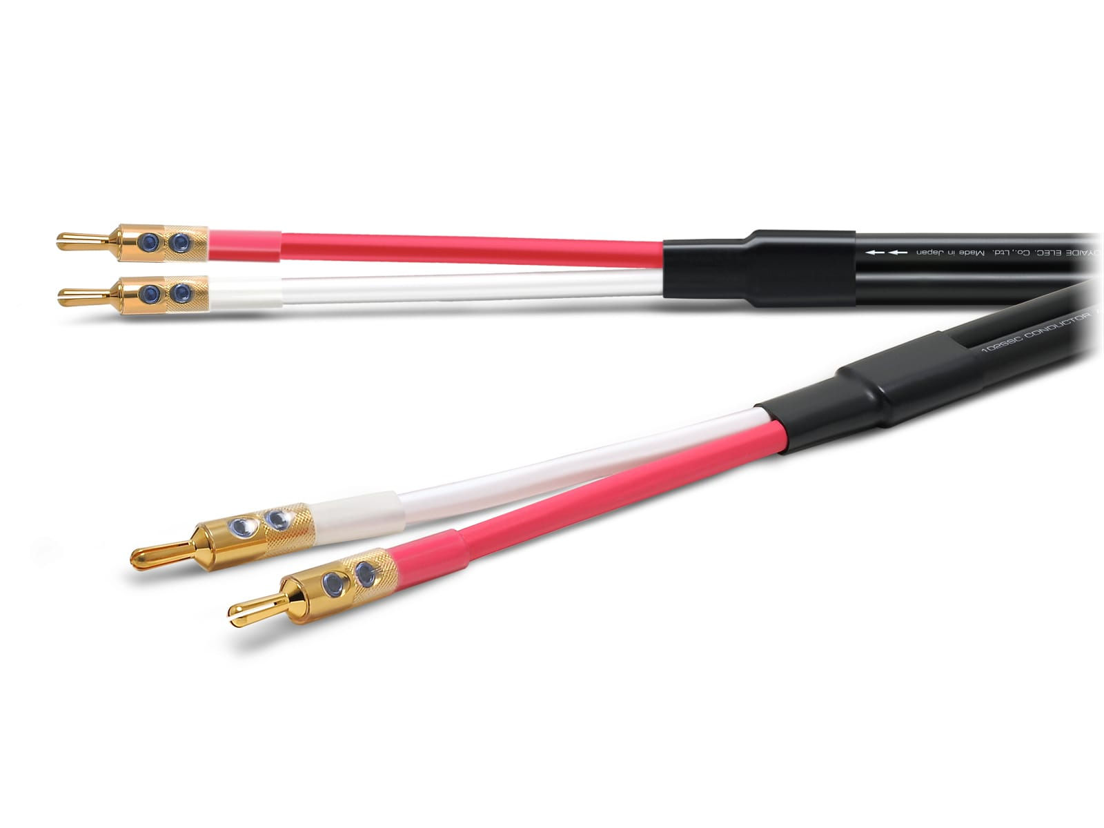 Oyaide Across 3000 SGB 2.5M - Cables de Parlantes