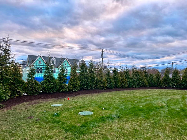green giant planting in bergen county nj