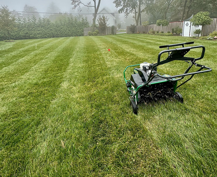commercial landscaping near me