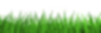 grass long.jpg