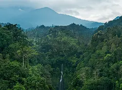 tropic why choose.webp