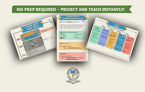 Pack 2 - WV T Guidance_edited.png