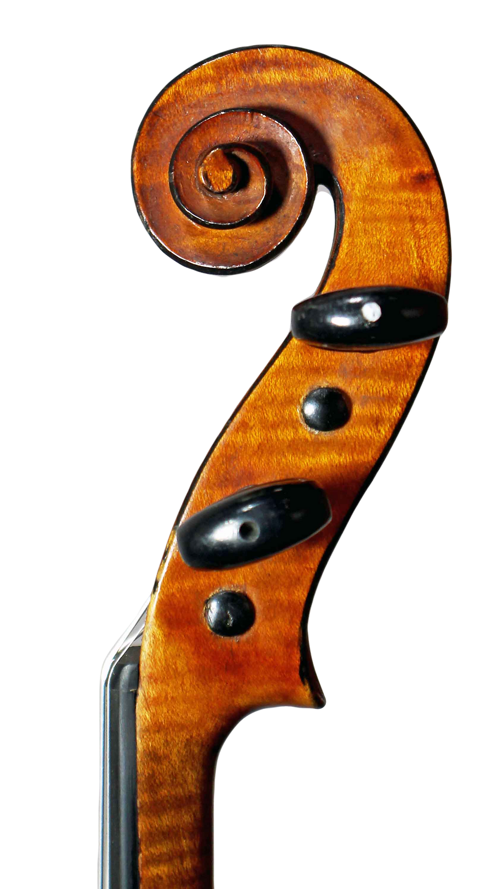 Miniatura: E. Whitmarsh, London Circa 1900