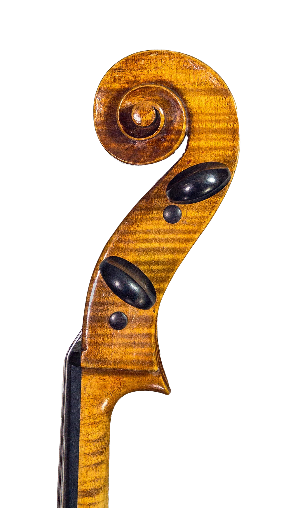 縮圖：弗朗索瓦·希波呂特·考辛學校，約1880年