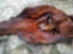 Miniatura: Forest ear