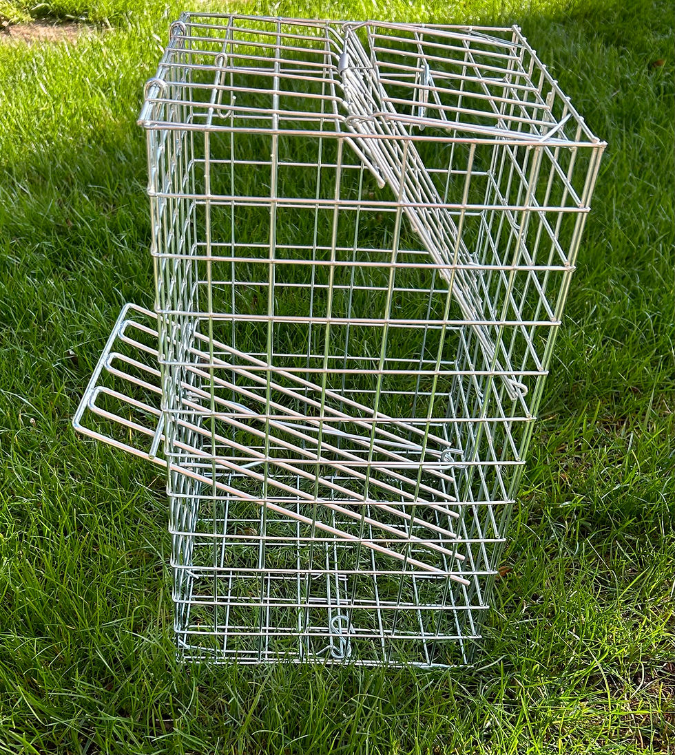 Thumbnail: Live Trap Comb with Elgeeco Squirrel Trap