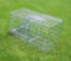 Procull Humane Kill Squirrel Trap