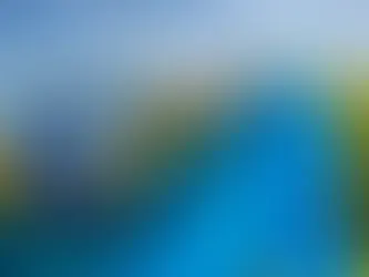 День української жінки