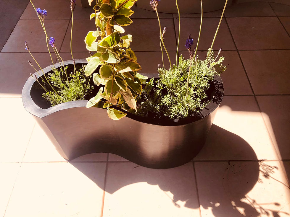 Miniatura: Maceta Jardinera Forma S