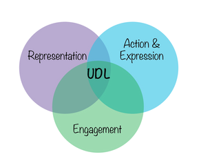 UDL to Improve Student Engagement