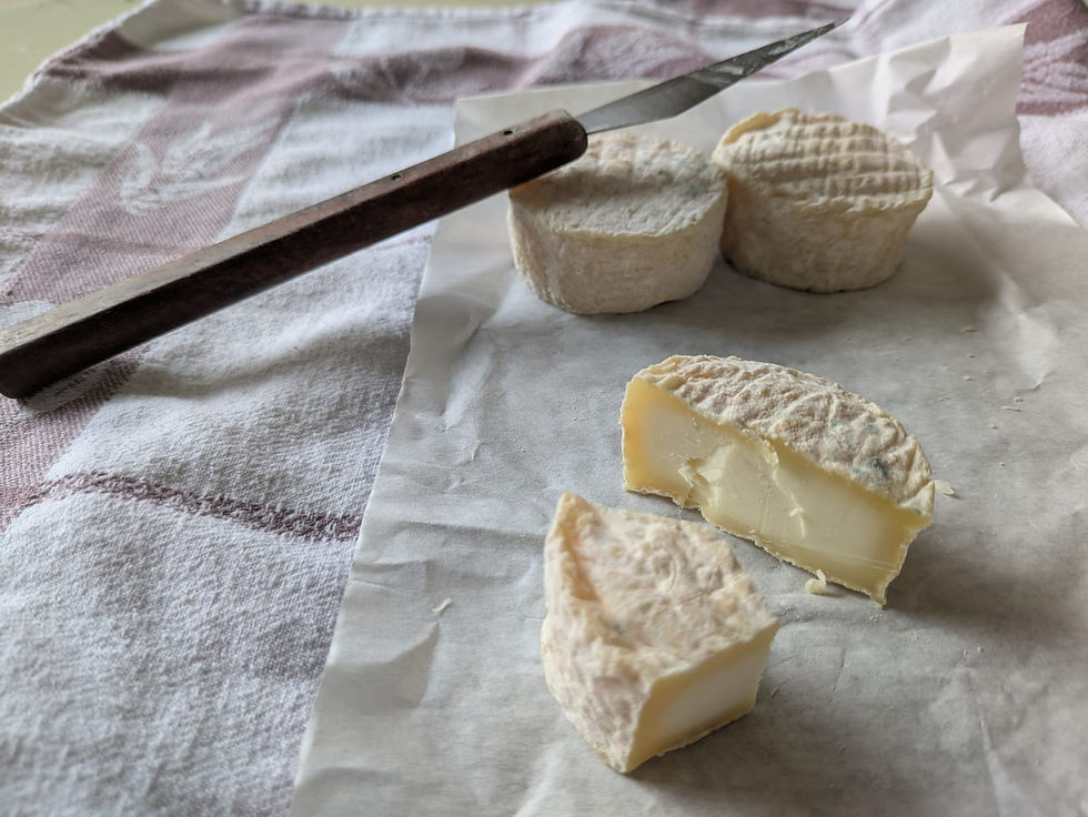 Chèvre