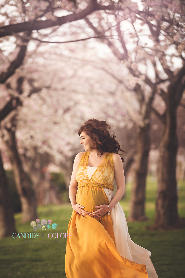 Golden Chiffon with Lace Infinity