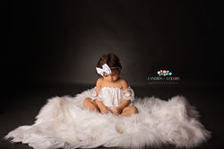 Camera Shy Milestone