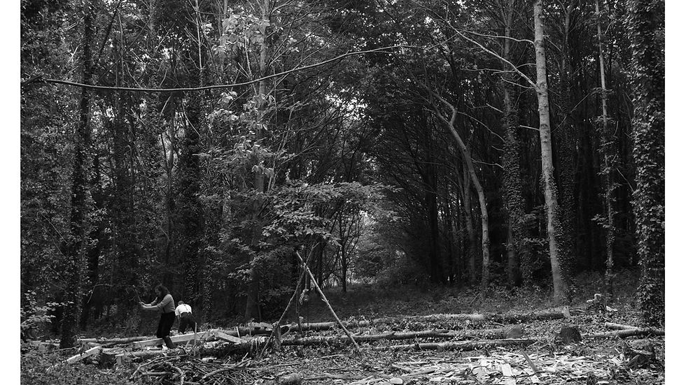 Travail du bois à la hache dans une forêt