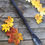 Miniature : Bee-gouge : Gouge ruche tronc droite 60 cm