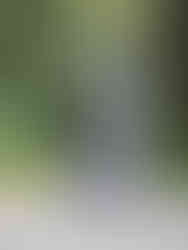 Trampolín de la vida