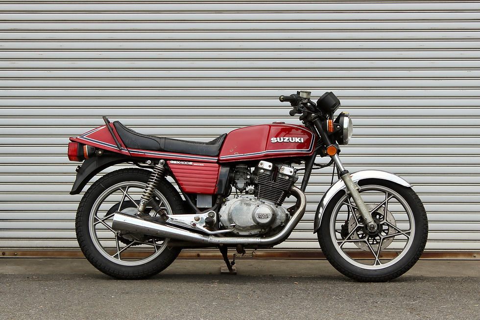 TZ2564 GSX400E