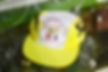 AGIP F・1ノベルティキャップ