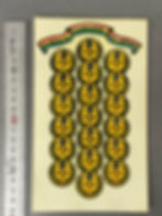 MV AGUSTAデカール