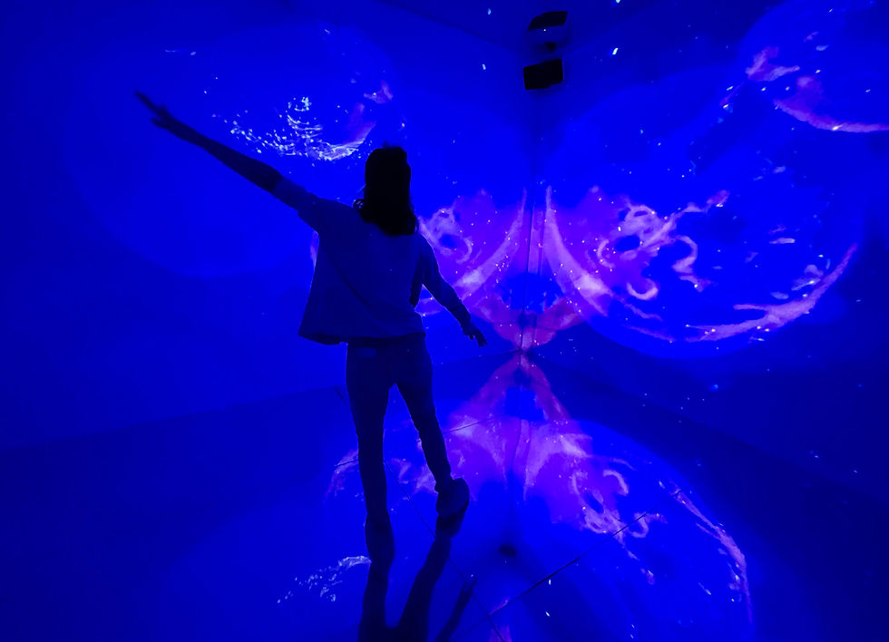 "Dream-e-scape" An eye-opening journey into the sleep state