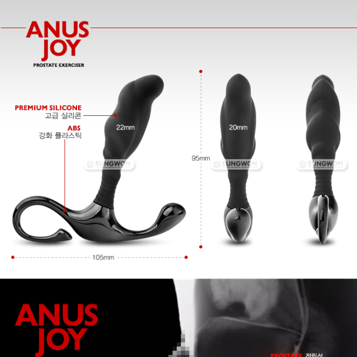 섬네일: 아누스 조이