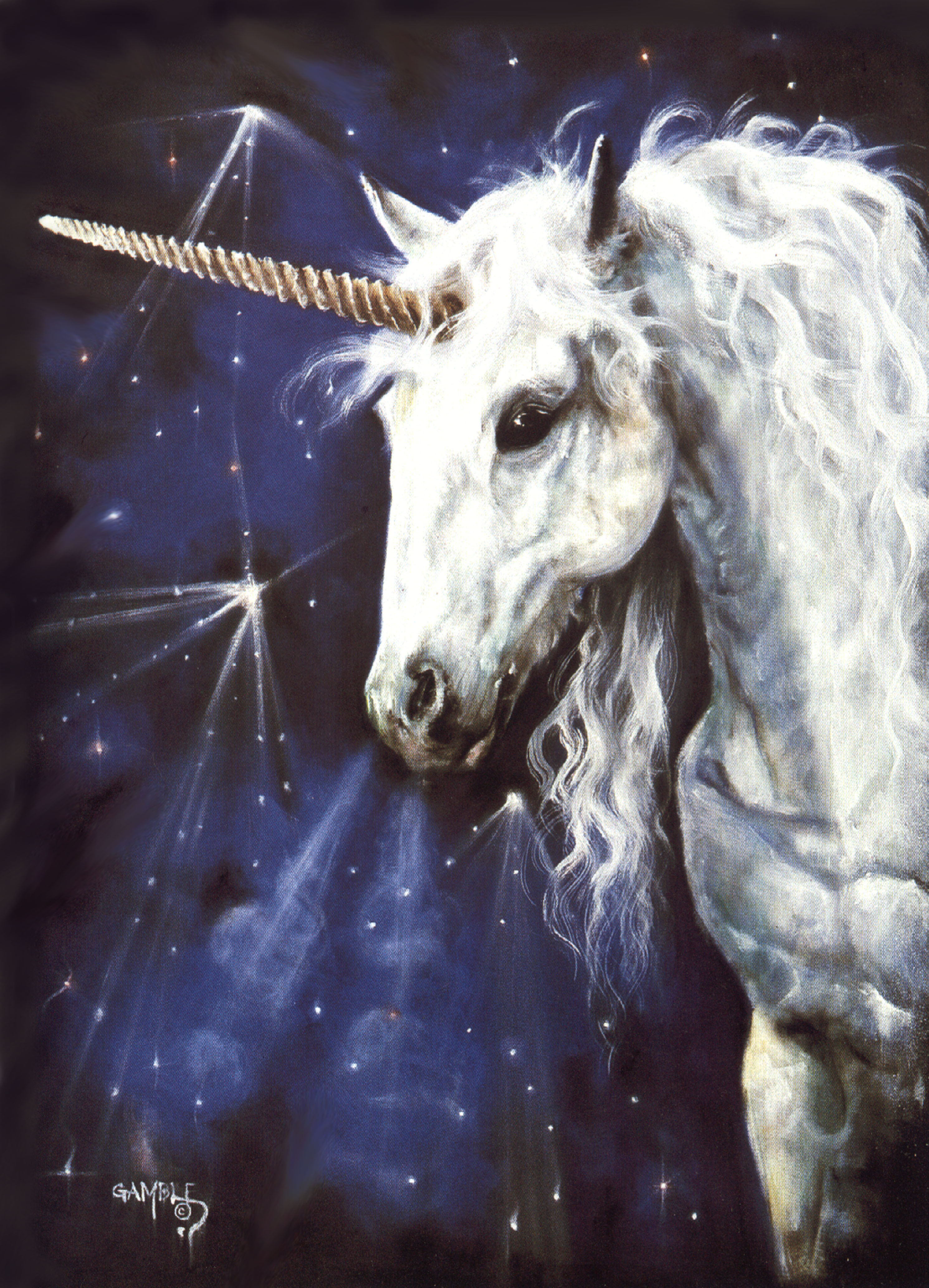 Magic Unicorn (A3 / Gift card)