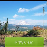 Need your house cleaned _ Choose PNW Cle