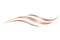 image 6 (1).png