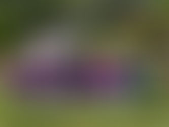 QUARTI DI FINALE ALLE PORTE: MERCOLEDI GHIFFA–S.ANNA