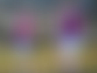 ULTIMO PASSO PRIMA DEI PLAY-OFF