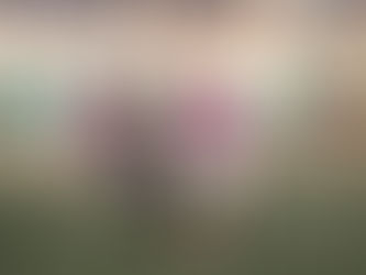 LE CONDIZIONI DI GIAN LUCA PERELLI