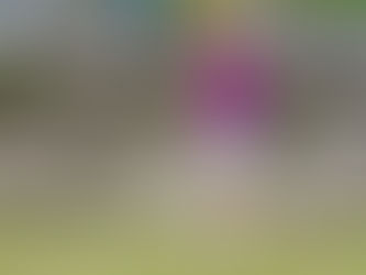 TIPALDI RIACCIUFFA IL GHIFFA AL FOTOFINISH: 4-4 A NOSERE CONTRO GLI IRRIDUCIBILI DOMO